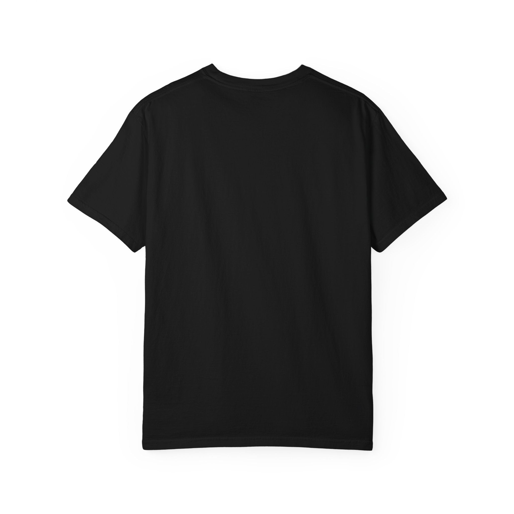 I Came I Saw I Forgot What I Was Doing T-Shirt | Funny Phrase Tee