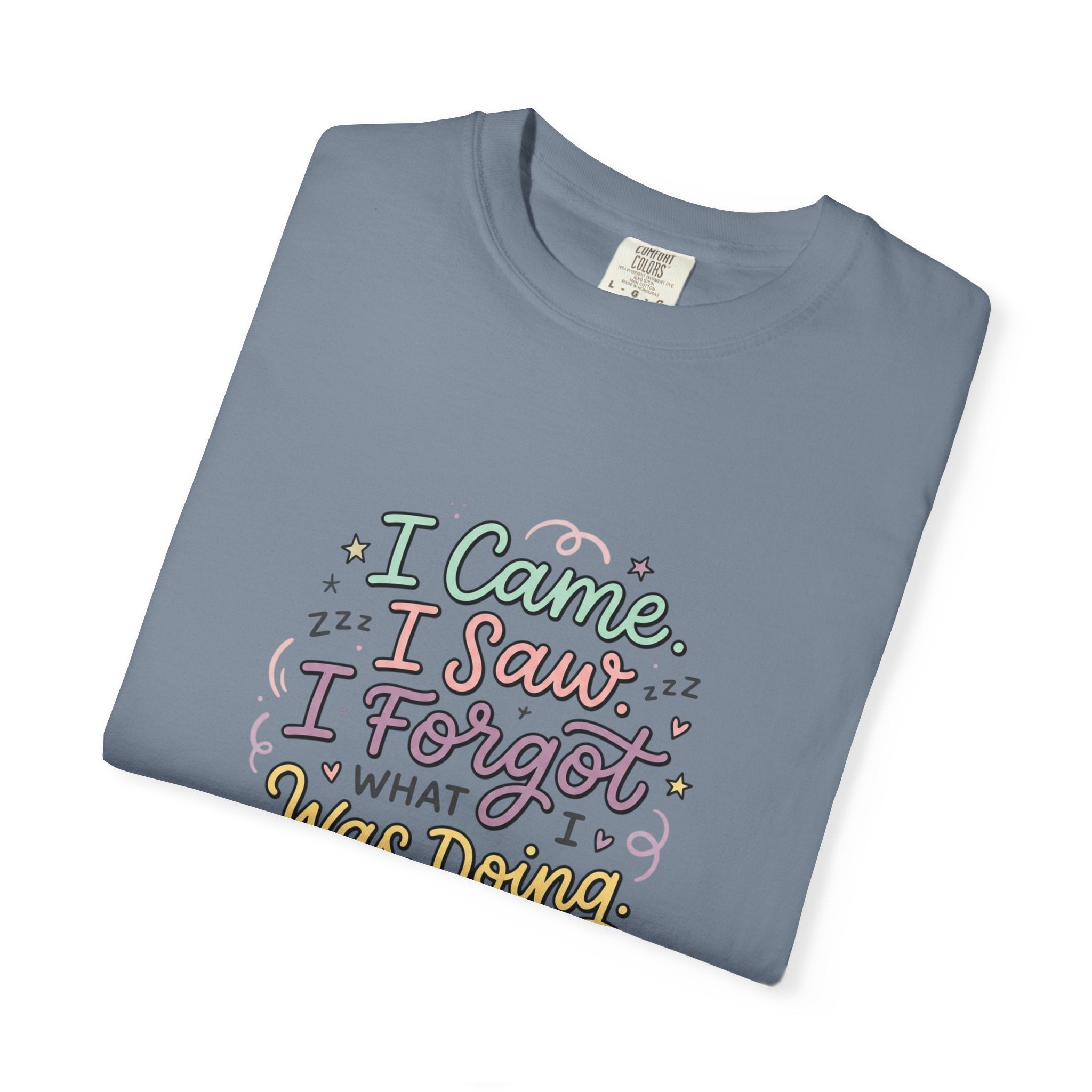 I Came I Saw I Forgot What I Was Doing T-Shirt | Funny Phrase Tee