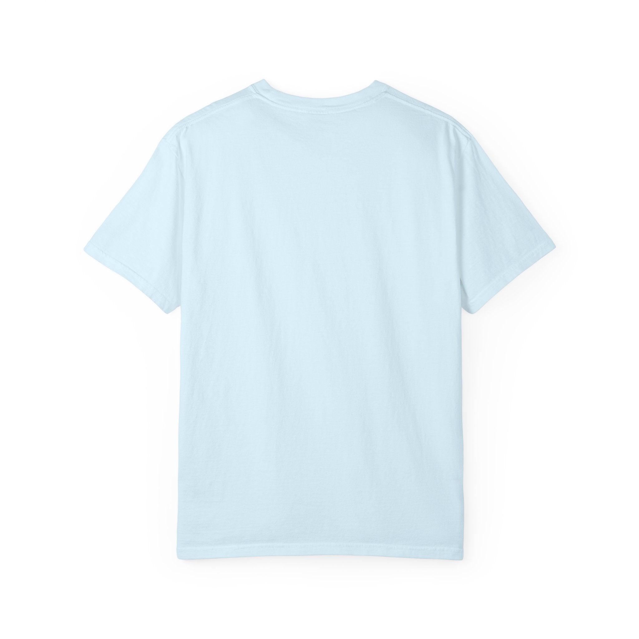 I Came I Saw I Forgot What I Was Doing T-Shirt | Funny Phrase Tee