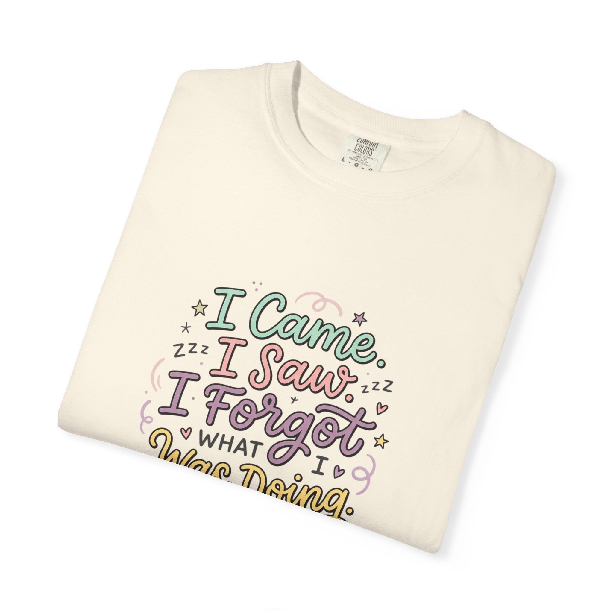 I Came I Saw I Forgot What I Was Doing T-Shirt | Funny Phrase Tee